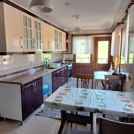 Termal Alfat Apartment *